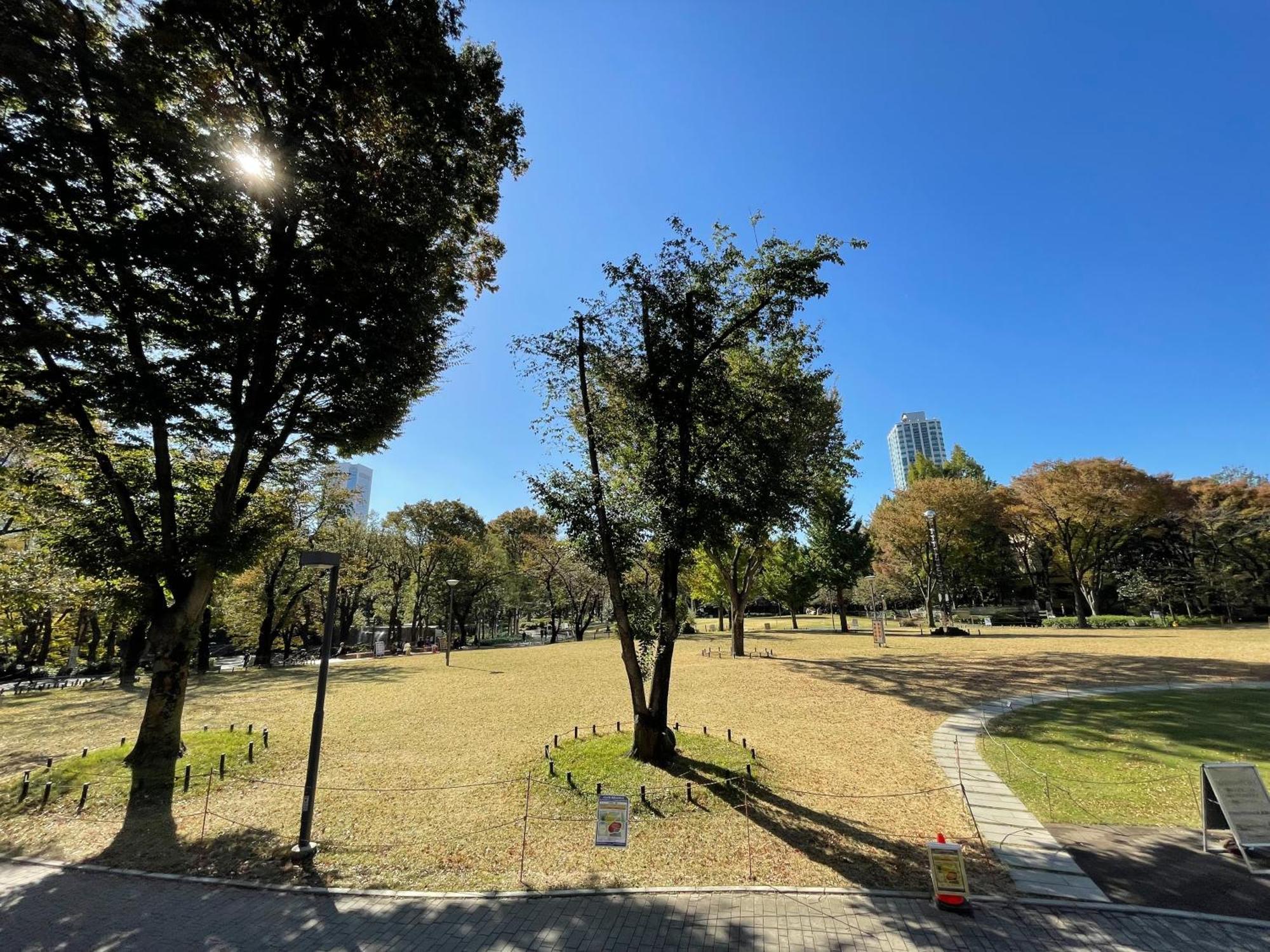 Max4People Shinjuku 7Minutes Shibuya12 Minutes 5Minutes Walk From Hatsudai Station Leon Resort Shibuya Präfektur Tokio Exterior foto